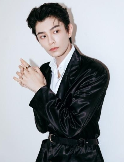 丁禹兮说，当我听到被邀请参加央视春晚后，我觉得很幸运，因为这是一个全球华人瞩目的