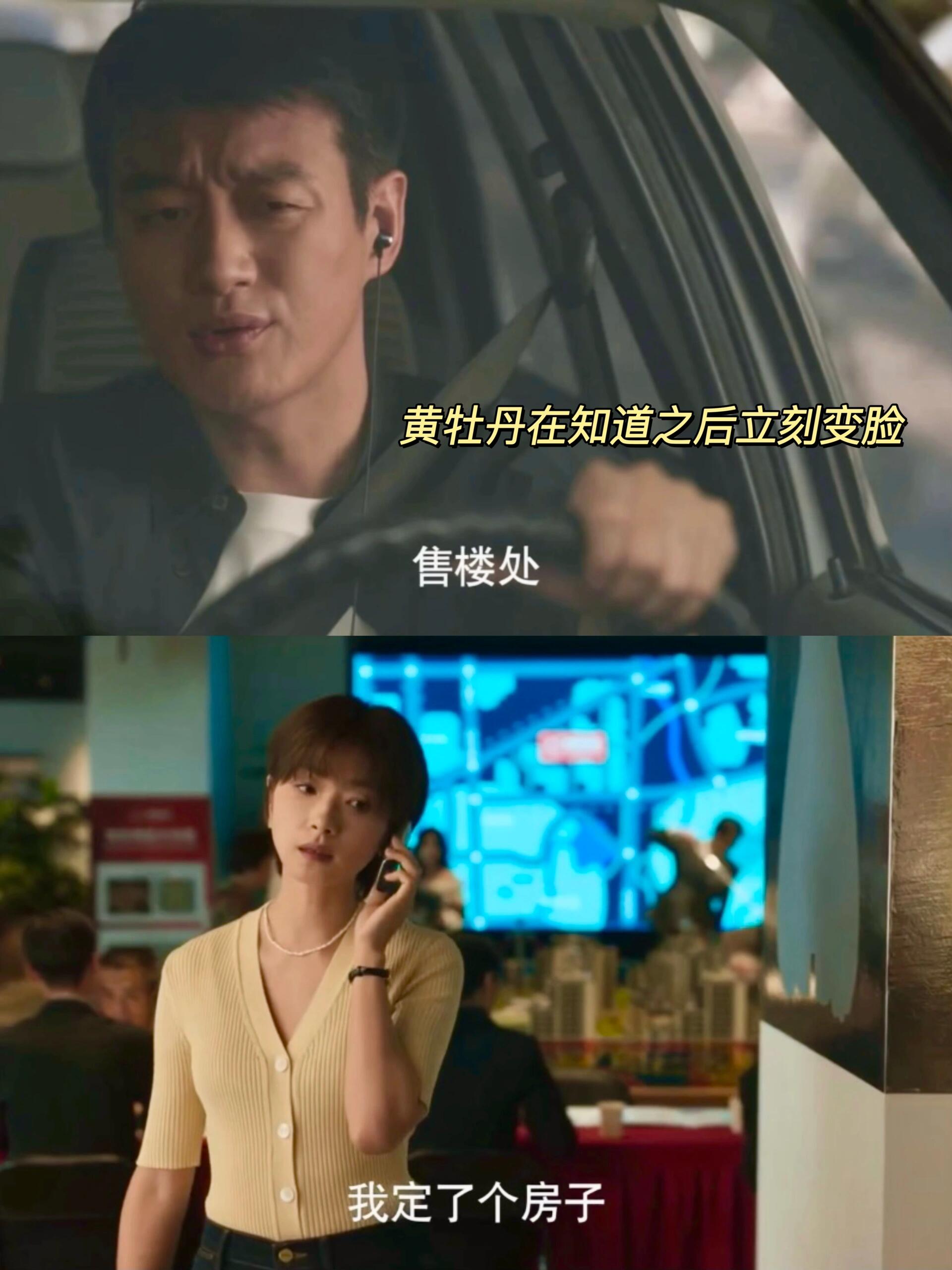 苏更生买房，黄牡丹破大防