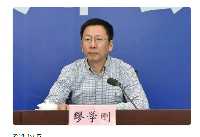 中纪委消息，缪学刚被双开