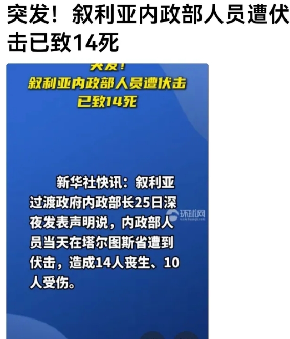 根不正，终难成大器。
环球网曝：叙利亚新政府内务部一行人遭到袭击，14人丧生，1