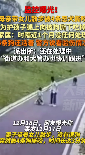 江西赣州，女子带3岁女儿在公园玩耍，不料，却被4只大黑狗尾随，继而袭击啃咬将近3