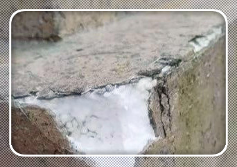尽管房子建设简陋，但仍被抢购一空。