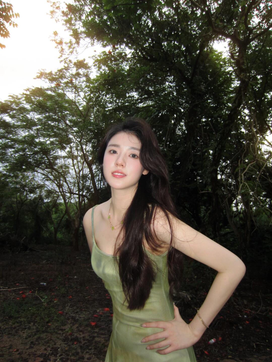抬头看 绿意在蔓延