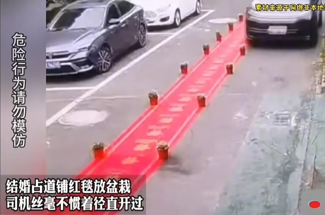 干的漂亮！男子结婚，在家门口马路中间铺了百米红毯，红毯两侧摆满了盆栽。路过的司机