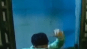 浙江，一男子垂涎女邻居的美色已经很久了，一天深夜趁女邻居丈夫不在家，竟爬窗入室准