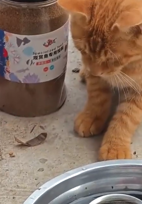 都啥时候了～还喝口水