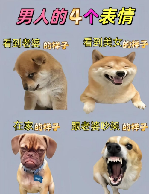 看看这些表情，多么真实！