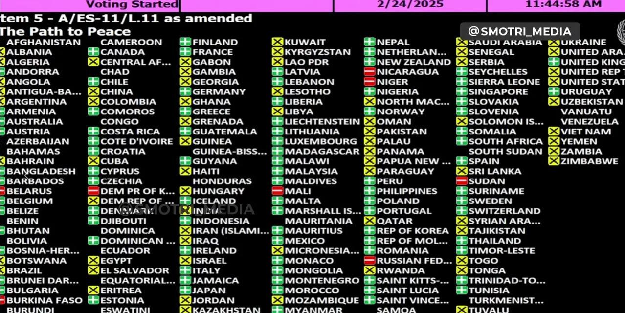 联合国大会通过了两份决议。
美国、中国、巴西、乌克兰投了弃权票，俄罗斯投了反对票