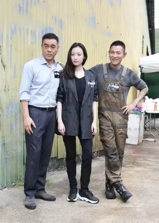 都说刘德华演技好，都说刘青云演技好，可是我觉得中间的女演员演技也很好，就是知名度