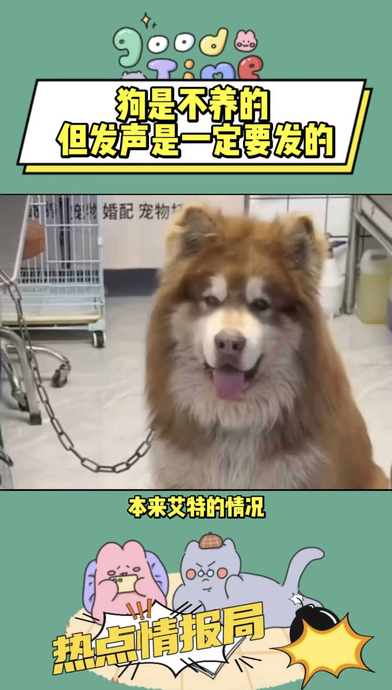 狗是不养的 但发声是一定要发的
