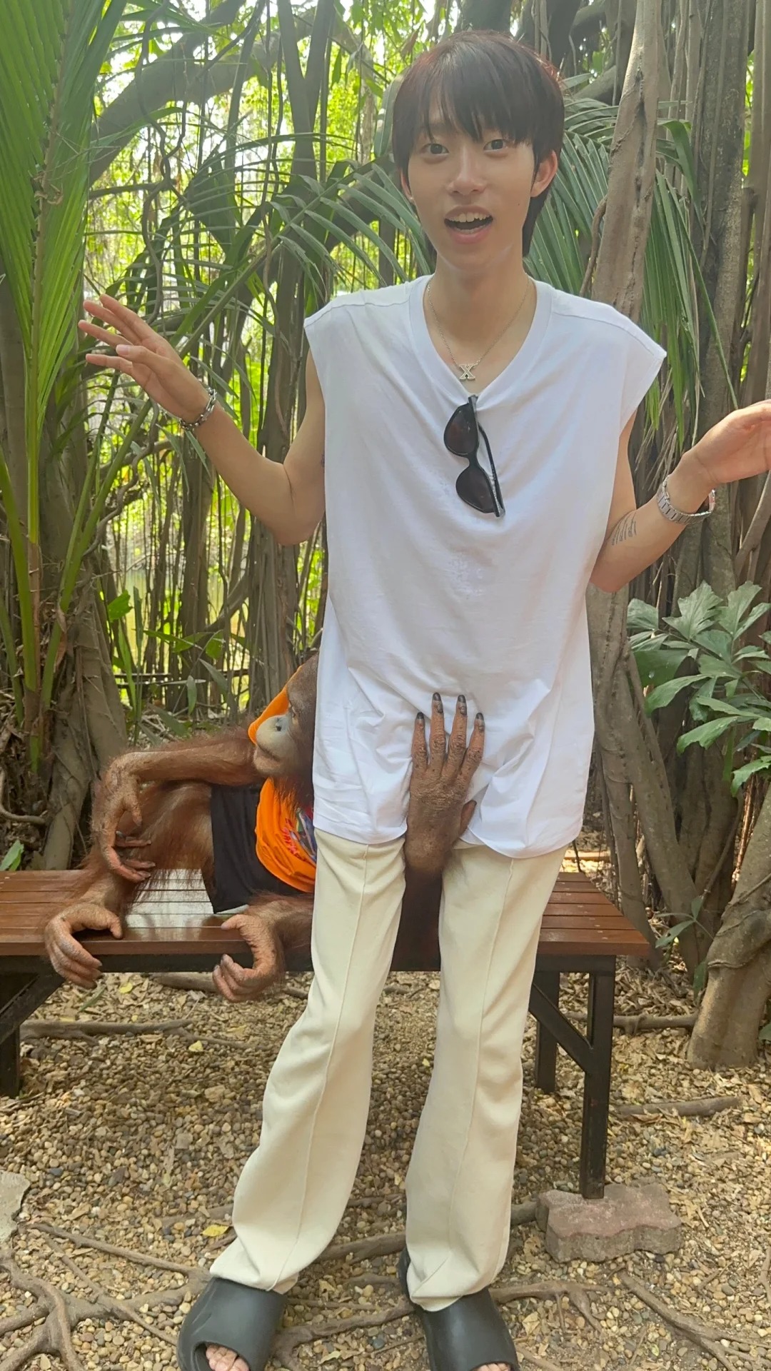 我居然被顶流调戏了…..