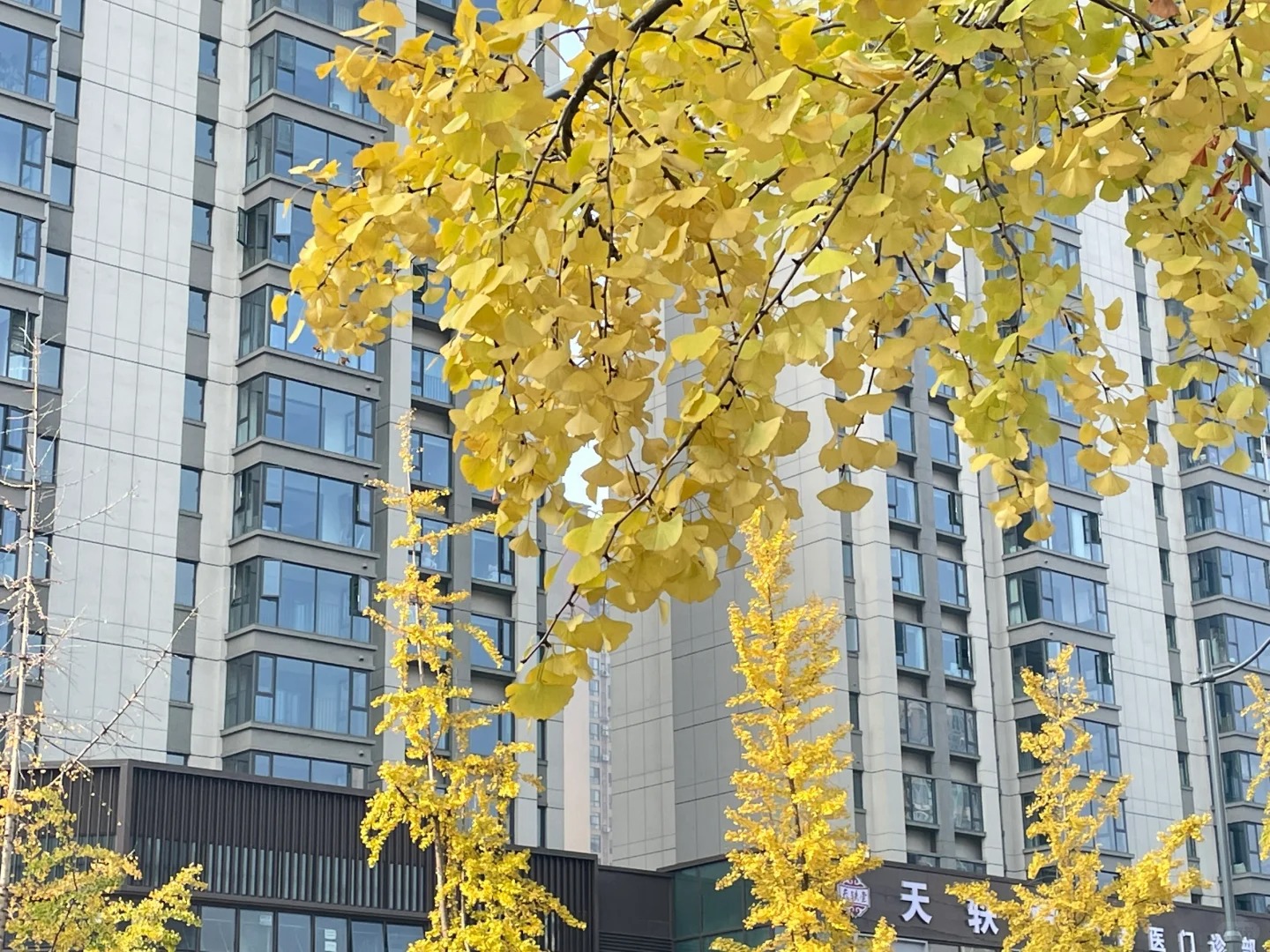 男生相亲视角
欢迎评论男生的相亲视角