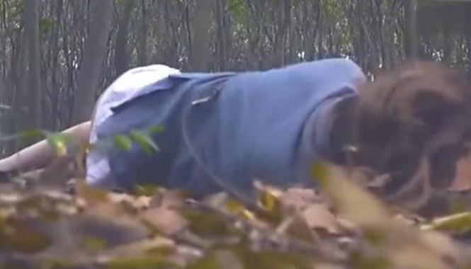女子被情人约至一偏僻小树林，正当女子以为二人要发生关系时，情人却一刀捅在了女子的