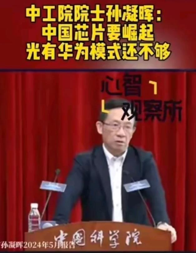 “光有华为模式还不够”，道理大家都懂。

但是，除了华为，在芯片领域，我们找不到