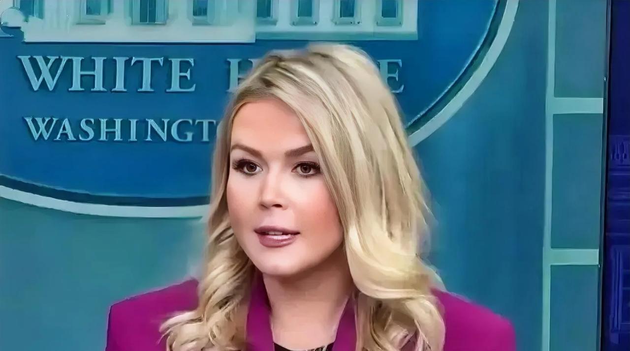 美国白宫出来解释了！
美国白宫发言人解释说，美国总统所说的接管加沙，是为了防止哈