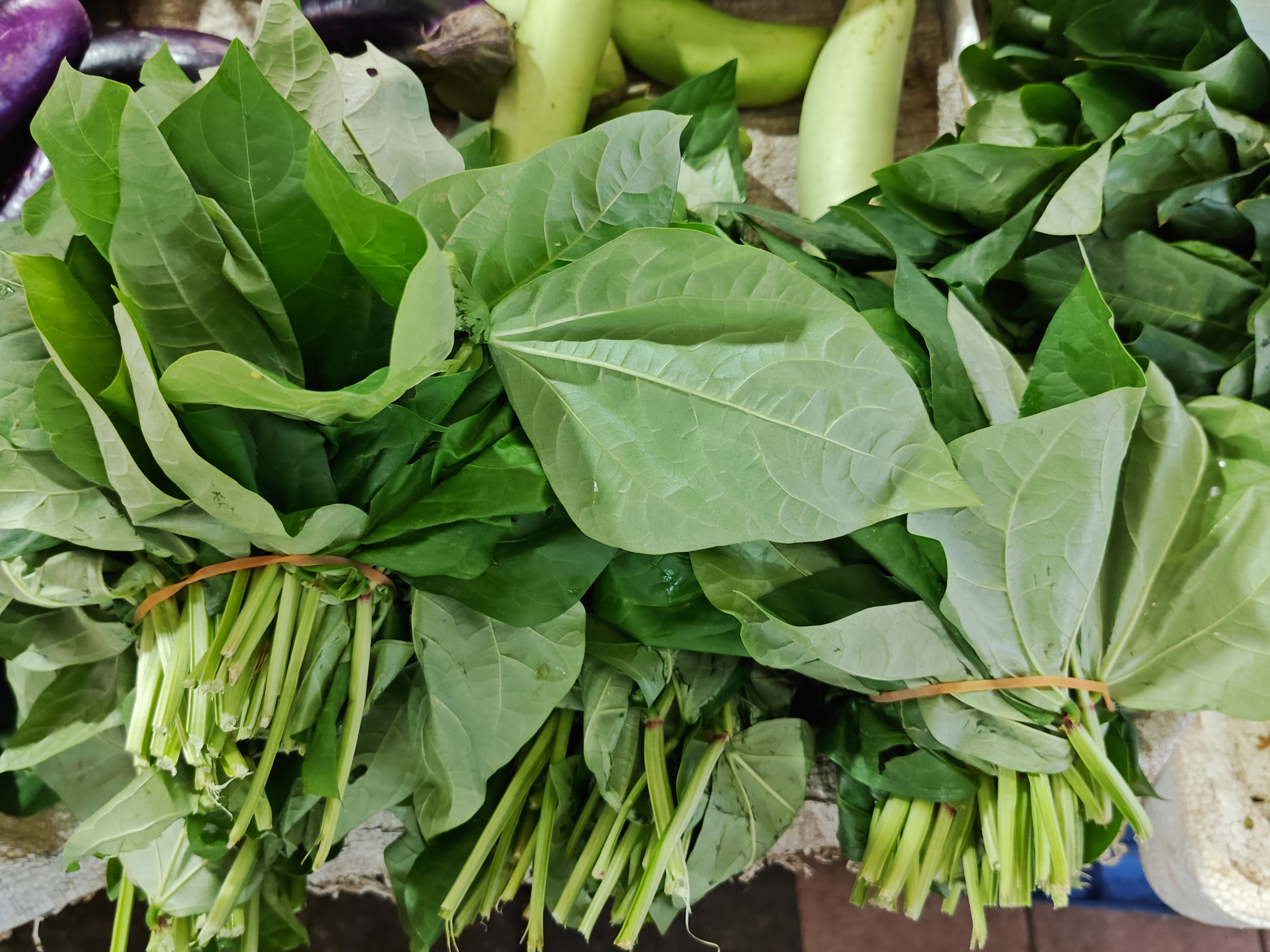 豆角叶（豇豆叶），看着很讨人喜欢。小时候比野菜还野菜的，就是这个豆角叶。因为是等