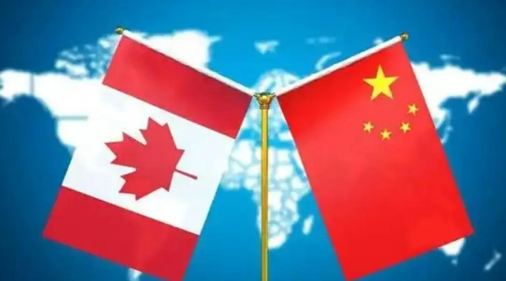加拿大现在装作看不见了！加拿大刚以新疆，西藏存在所谓的人权问题，对我们8名官员进