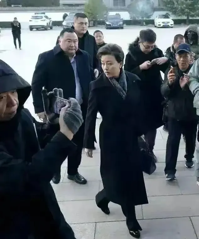 路人镜头下的杨澜，依然知性优雅，只是她丈夫显然逊色了