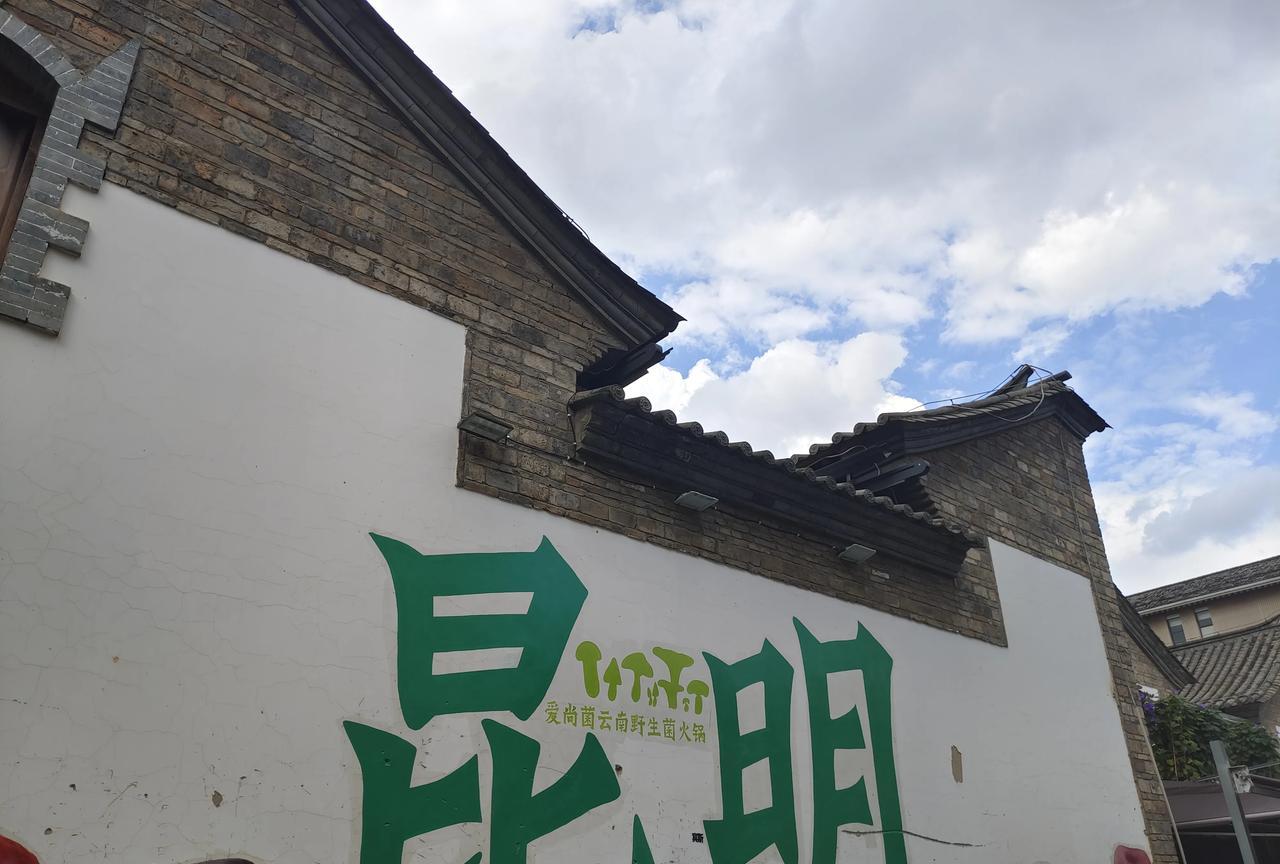 梦游云南
游云南回到沈阳家里了，但梦里还是在云南游玩，云南的环境气候真的很不错，