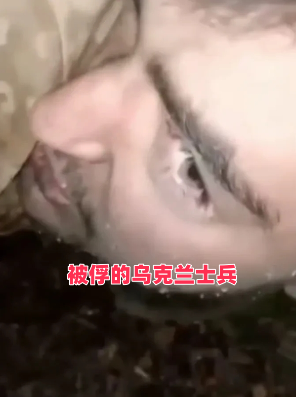俄军在库尔斯克地区抓获一群未来得及逃跑的乌克兰军人。不管怎么说，他们总算是能活着