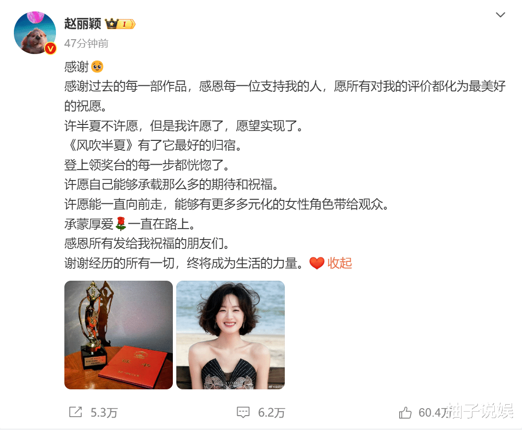 恭喜！赵丽颖官宣喜讯，整个娱乐圈都羡慕不来...（赵丽颖官宣的新剧）-第9张图片-九妖电影