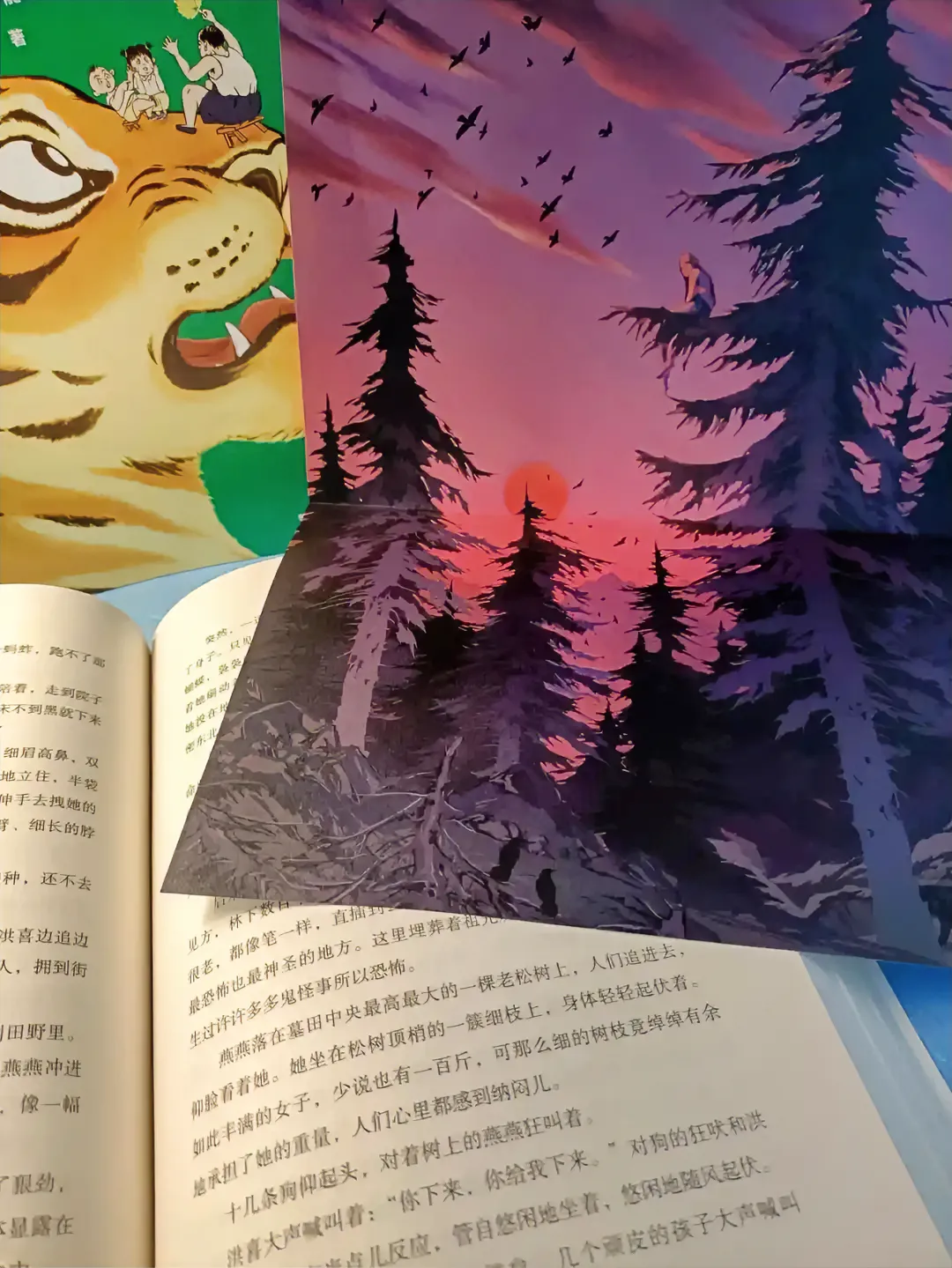 洪喜是高密东北乡著名的老光棍，40岁了，一脸大麻子，不久前由老娘做主，用自己的亲