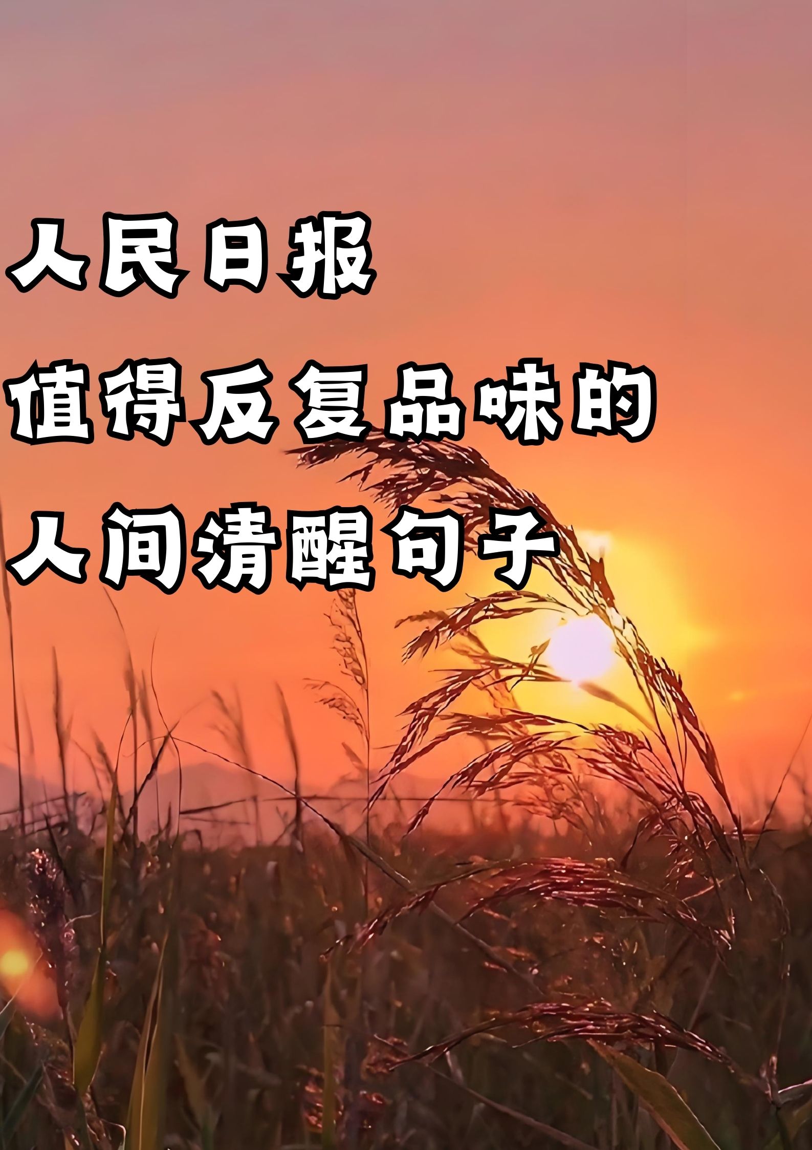 人民日报值得反复品味的人间清醒句子