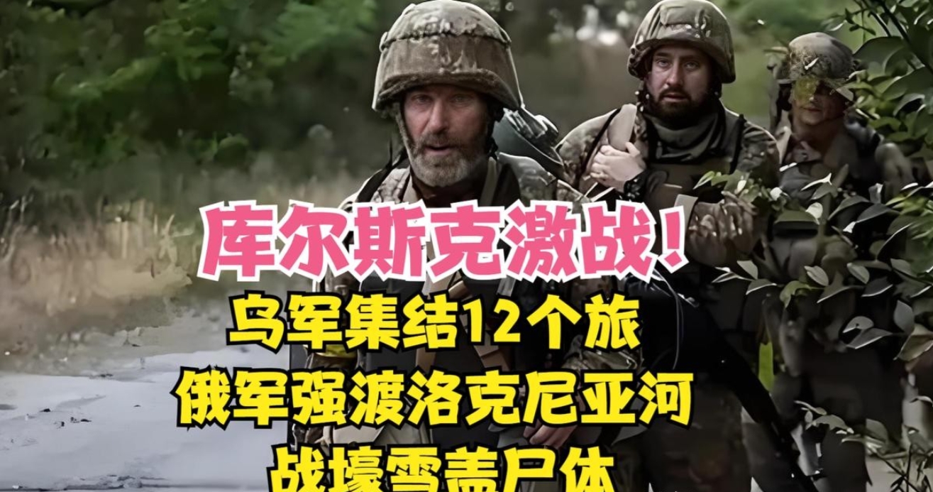 很多人以为俄乌冲突可能暂停了，毕竟美国已经暂停援助乌克兰了。事实上，乌军集结12