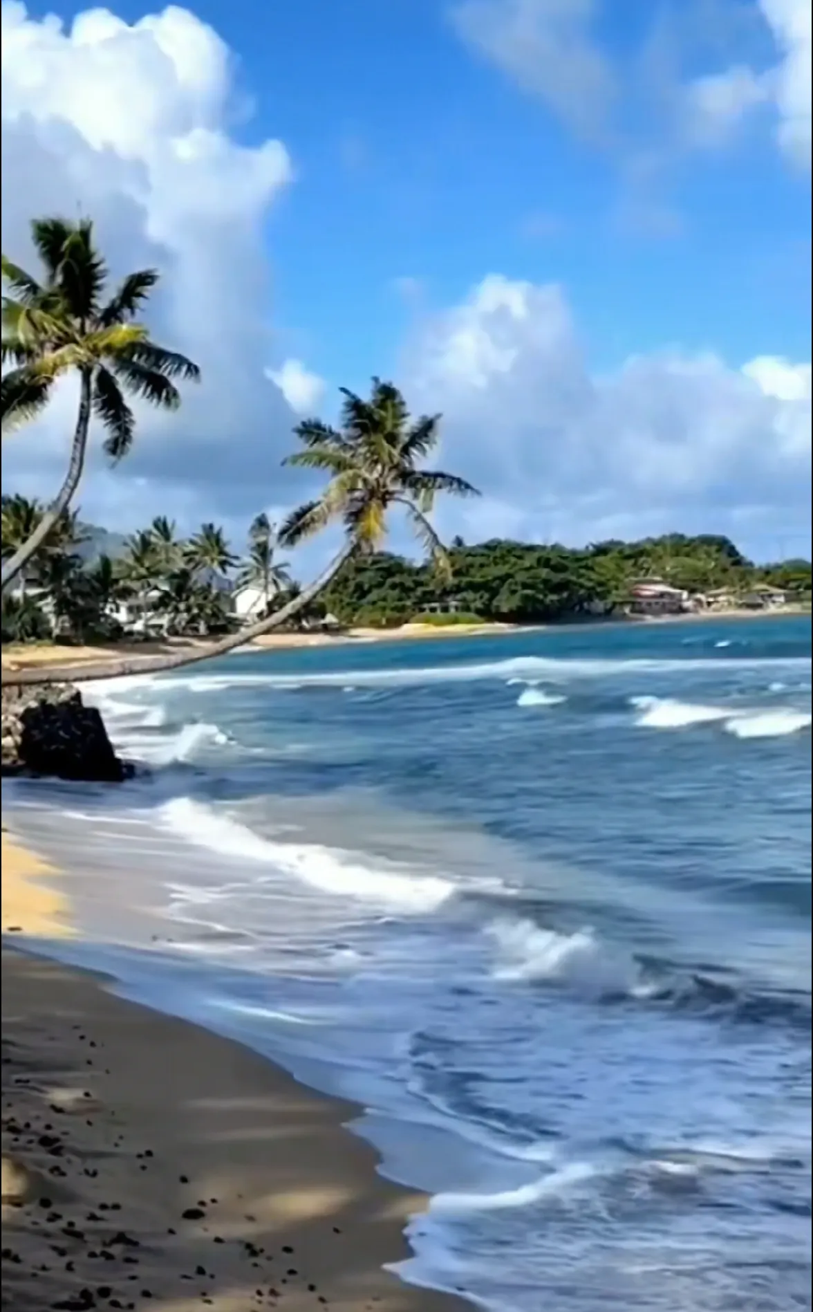 大海的自然景观