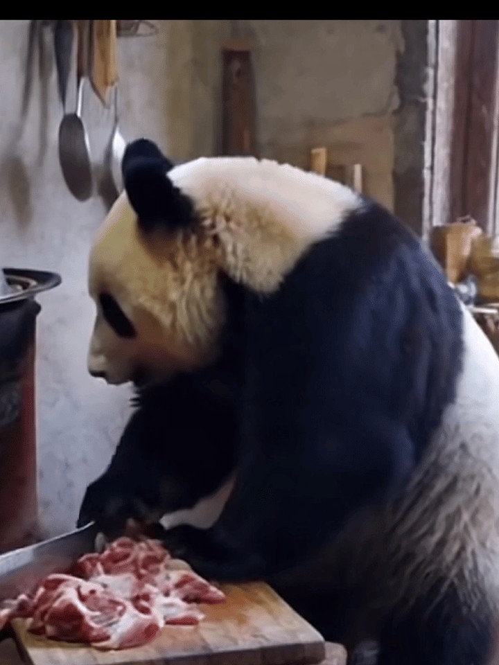 我们现在要是跟老外说，根本 就没有“猫税”的事情，不知道他们会是什么反应。[微风