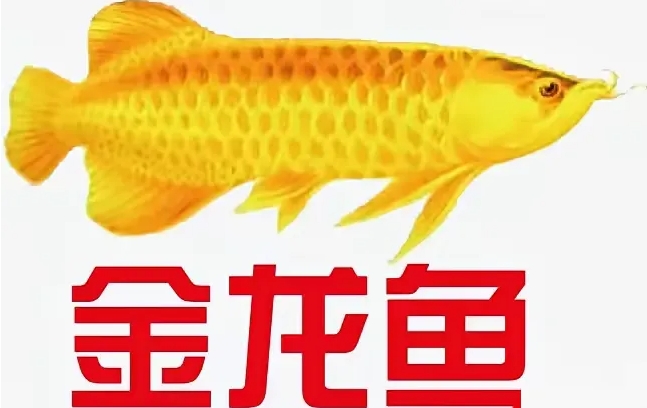 金龙鱼干出这种人神共愤的事本来就该被谴责，大家为啥不专注于谴责金龙鱼？

因为它