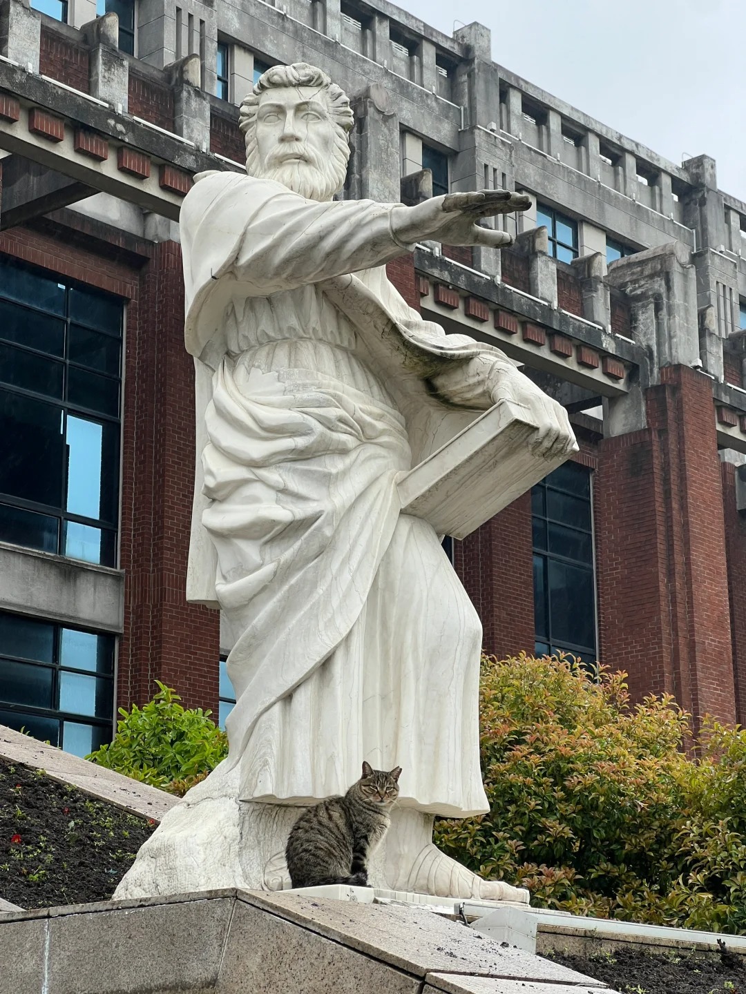 亚里士多德会帮小猫挡雨