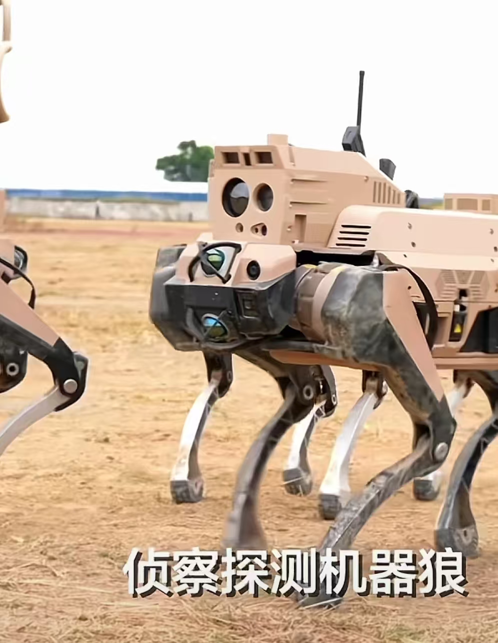 从机器狗到机器狼群
