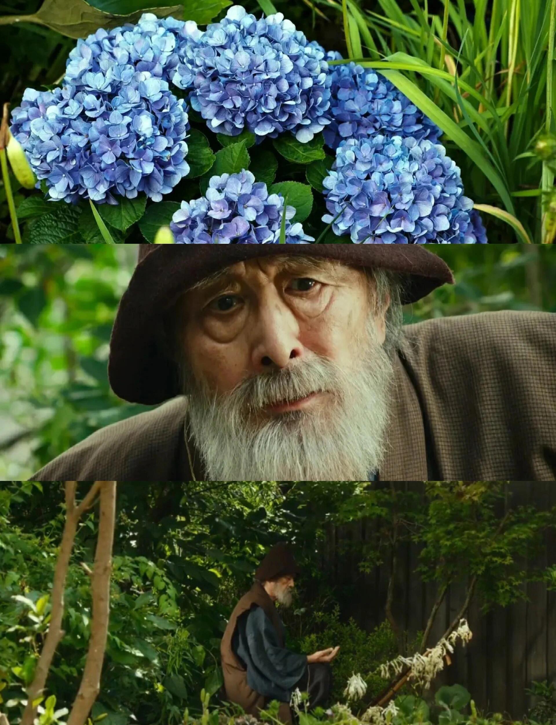 发现了一部不得了的电影