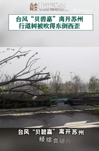 台风贝碧嘉减弱为热带风暴级