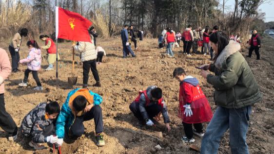 “携手创绿 共植未来”植树节主题活动