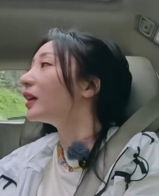 柳岩曾开卡丁车撞碎牙