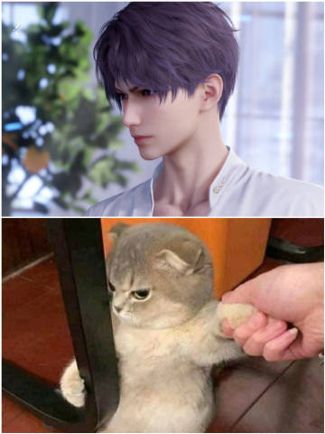 祁煜，你是一只生气小猫