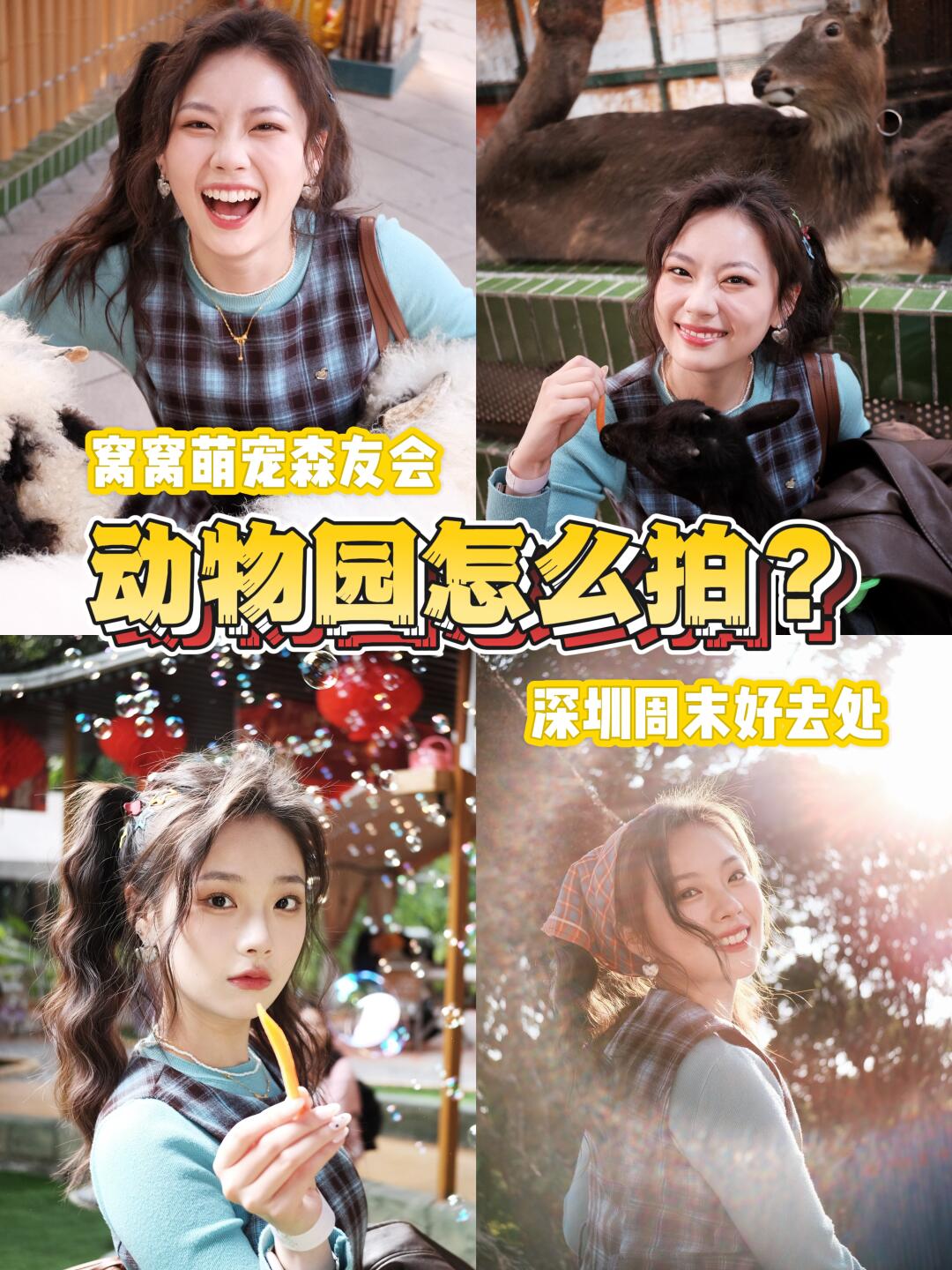 终于摸到软绵绵的咩咩了🐑