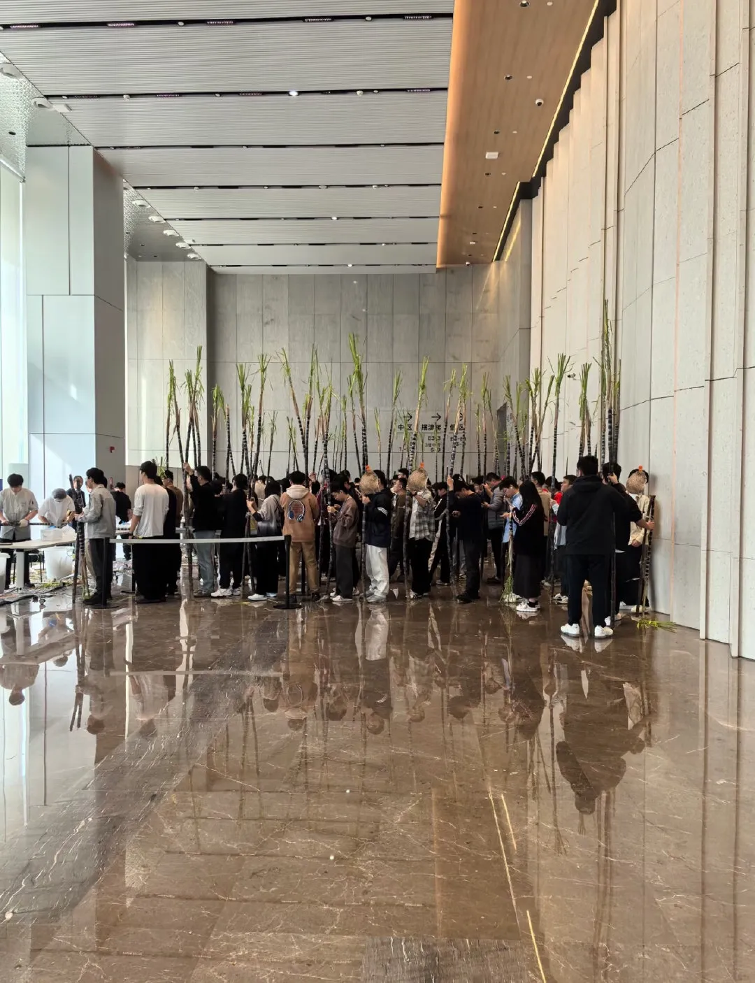 公司福利是甘蔗，意味着什么？