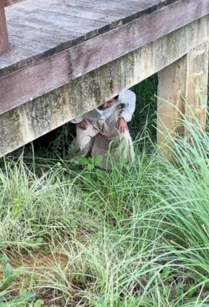 今天放假家里热去公园散步溜溜狗，走到个小桥下看到个姐姐是在桥不捡到钱了吗，这之后