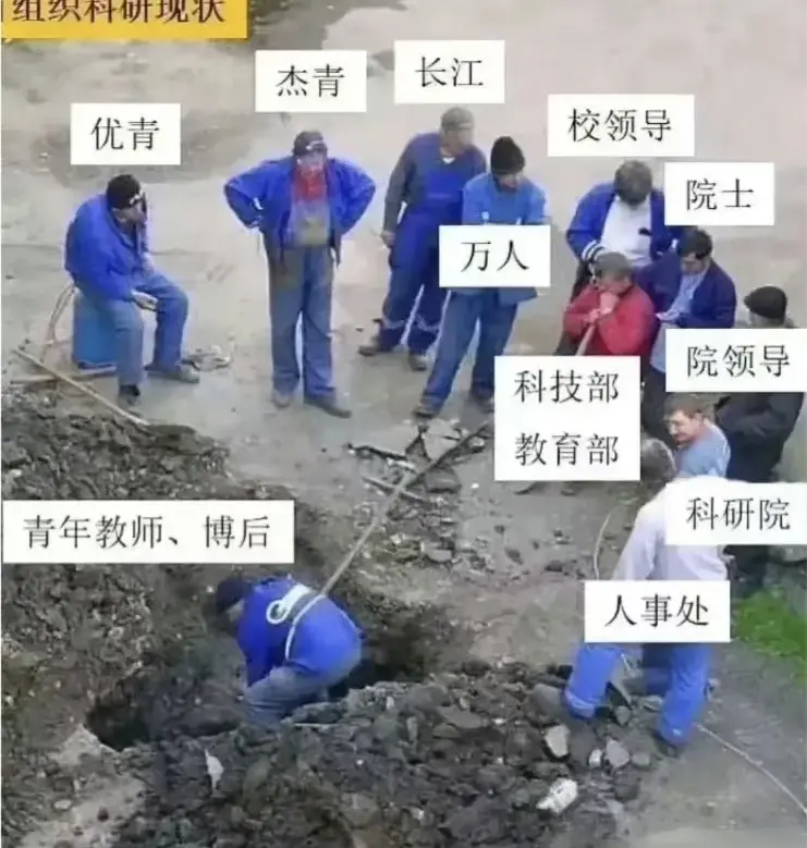 中国式科研人员现状，是这样吗？