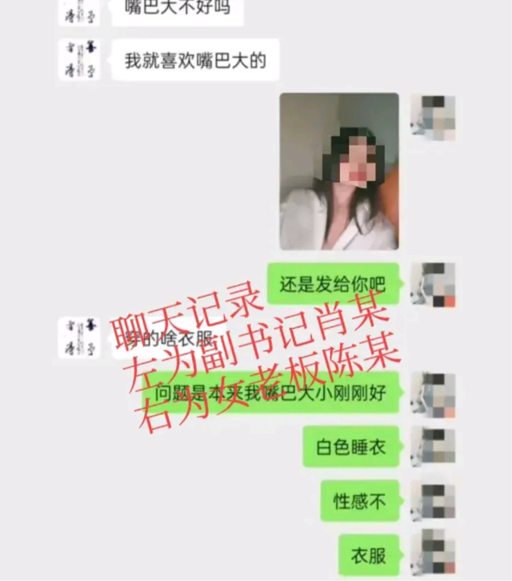 长沙男子程先生发现妻子跟海南陵水县委副书记的私密对话，怒向海南省纪委举报。这位副