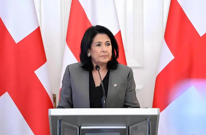 格鲁吉亚总统要求重新进行选举。

俄罗斯卫星通讯社19日报道，格鲁吉亚总统祖拉比