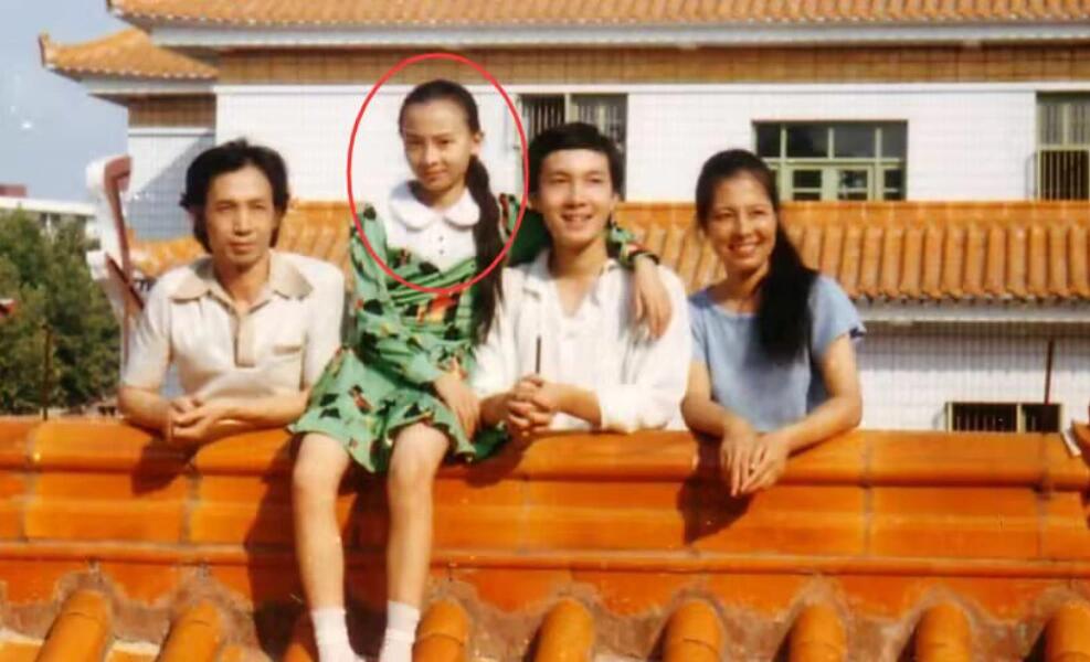 陈数的早年历程