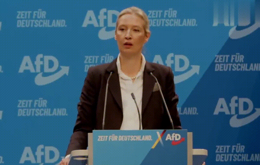 德国选择党（Afd）领导人爱丽丝-魏德尔在党代会上全票当选为德国总理候选人后，其