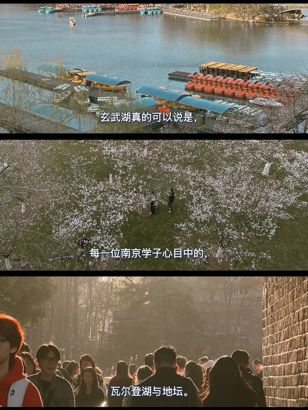 玄武湖——南京广大学子的瓦尔登湖和地坛
🔸
好爱玄武湖。
不理解怎么没有歌颂玄