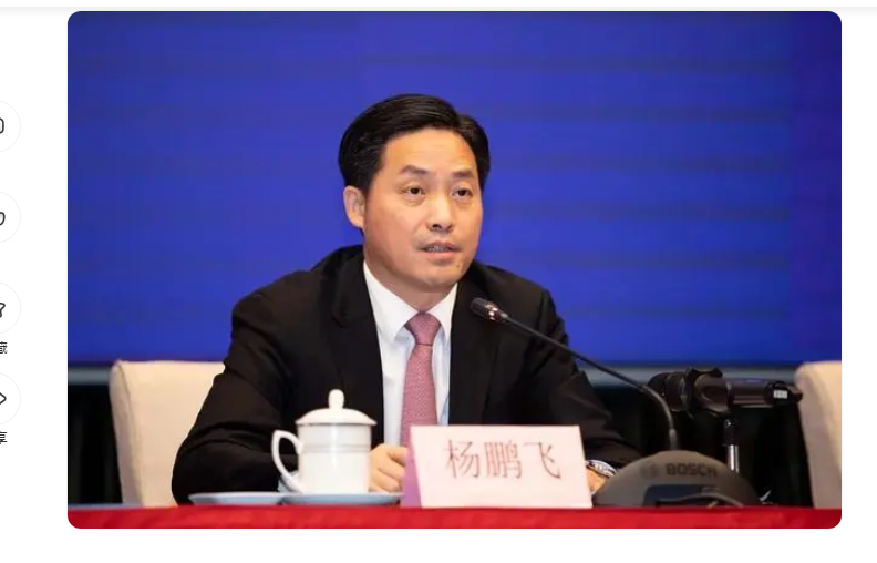中纪委消息，杨鹏飞被双开