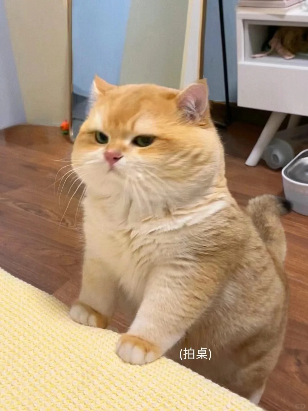 我和老公好像是近亲😂
今天我家人和老公一家人一起吃年夜饭
唠嗑发现我公公的姥姥