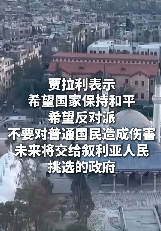 叙利亚总理可真是语出惊人